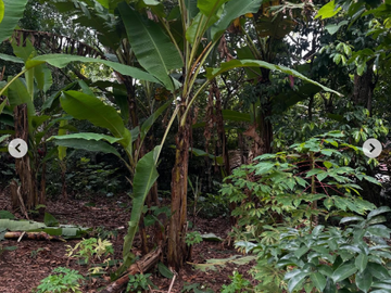 FOR SALE: 2,500 SQM Lot in Tagaytay – ₱13,500/sqm