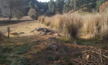 TERRENO EN VENTA