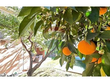 Alto Macul - Camino Las Carmelitas - 4D/3B/4E