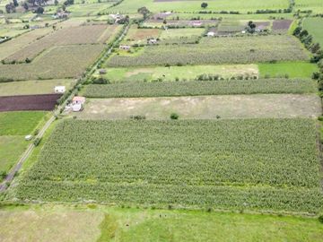 Machachi venta Terreno 15.155m2 Parroquia Aloasi