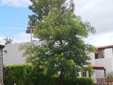 Casa en Venta en San Miguel de Allende |  Rooftop y Amenidades