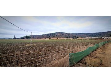 Venta de parcela de 18.000 m2., en El Huape, Manzanar, Quillota.