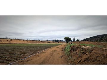 Venta de parcela de 18.000 m2., en El Huape, Manzanar, Quillota.