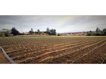 Venta de parcela de 18.000 m2., en El Huape, Manzanar, Quillota.