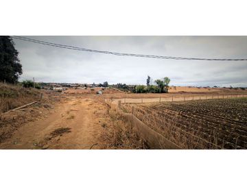 Venta de parcela de 18.000 m2., en El Huape, Manzanar, Quillota.