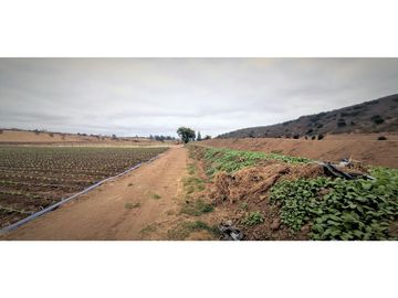 Venta de parcela de 18.000 m2., en El Huape, Manzanar, Quillota.