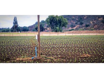 Venta de parcela de 18.000 m2., en El Huape, Manzanar, Quillota.