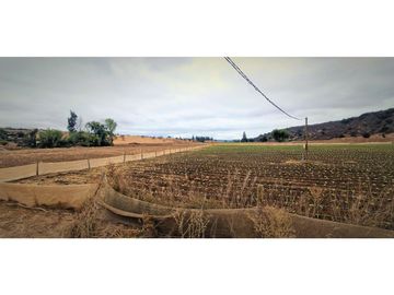 Venta de parcela de 18.000 m2., en El Huape, Manzanar, Quillota.