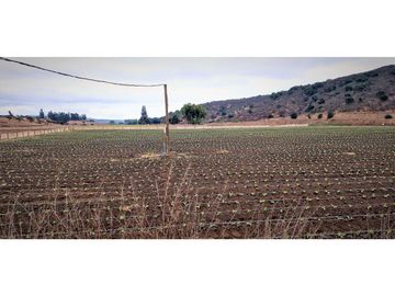 Venta de parcela de 18.000 m2., en El Huape, Manzanar, Quillota.
