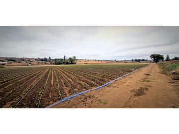 Venta de parcela de 18.000 m2., en El Huape, Manzanar, Quillota.