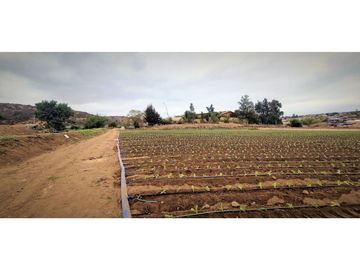 Venta de parcela de 18.000 m2., en El Huape, Manzanar, Quillota.