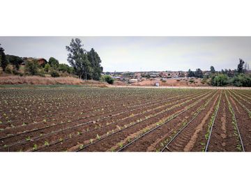 Venta de parcela de 18.000 m2., en El Huape, Manzanar, Quillota.