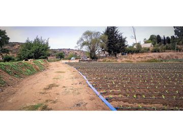 Venta de parcela de 18.000 m2., en El Huape, Manzanar, Quillota.