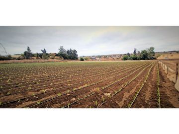Venta de parcela de 18.000 m2., en El Huape, Manzanar, Quillota.