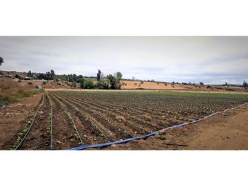 Venta de parcela de 18.000 m2., en El Huape, Manzanar, Quillota.