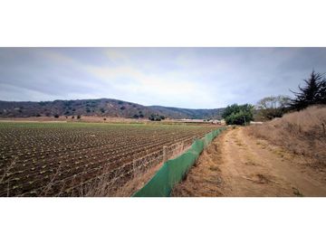 Venta de parcela de 18.000 m2., en El Huape, Manzanar, Quillota.