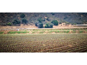 Venta de parcela de 18.000 m2., en El Huape, Manzanar, Quillota.