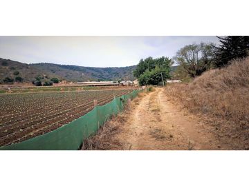 Venta de parcela de 18.000 m2., en El Huape, Manzanar, Quillota.