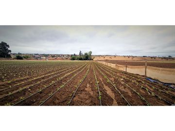 Venta de parcela de 18.000 m2., en El Huape, Manzanar, Quillota.