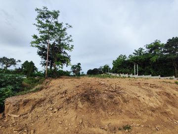 1,137 sqm Commercial Lot For Sale in Brgy. Palsara, Balete, Batangas- EA
