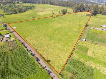 Sangolquí Loreto vía a las Cascadas 4 hectáreas uso Agrícola