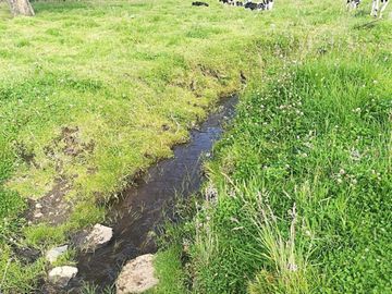 Sangolquí Loreto vía a las Cascadas 4 hectáreas uso Agrícola