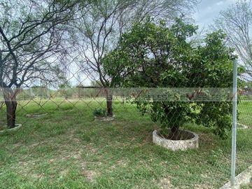 Las Margaritas, Pesqueria