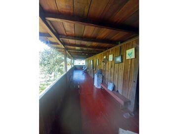 FINCA PRODUCTIVA EN VENTA TENERIFE EL CERRITO VALLE  254 Hectáreas