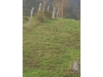 FINCA PRODUCTIVA EN VENTA TENERIFE EL CERRITO VALLE  254 Hectáreas