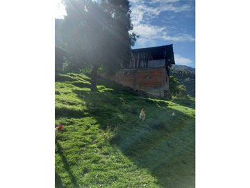 FINCA PRODUCTIVA EN VENTA TENERIFE EL CERRITO VALLE  254 Hectáreas