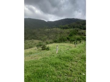 FINCA PRODUCTIVA EN VENTA TENERIFE EL CERRITO VALLE  254 Hectáreas