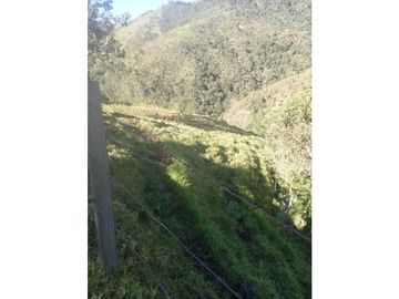 FINCA PRODUCTIVA EN VENTA TENERIFE EL CERRITO VALLE  254 Hectáreas