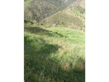 FINCA PRODUCTIVA EN VENTA TENERIFE EL CERRITO VALLE  254 Hectáreas