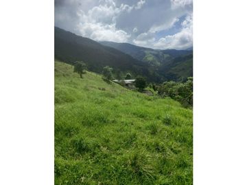 FINCA PRODUCTIVA EN VENTA TENERIFE EL CERRITO VALLE  254 Hectáreas