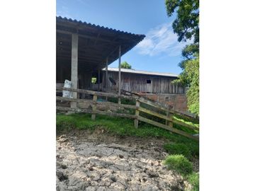 FINCA PRODUCTIVA EN VENTA TENERIFE EL CERRITO VALLE  254 Hectáreas