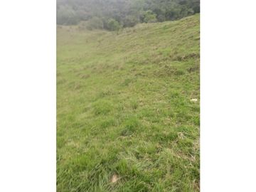 FINCA PRODUCTIVA EN VENTA TENERIFE EL CERRITO VALLE  254 Hectáreas