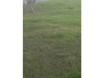 FINCA PRODUCTIVA EN VENTA TENERIFE EL CERRITO VALLE  254 Hectáreas