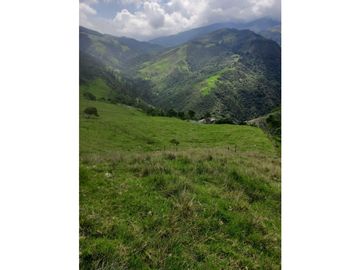 FINCA PRODUCTIVA EN VENTA TENERIFE EL CERRITO VALLE  254 Hectáreas