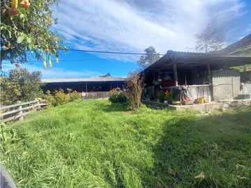 FINCA PRODUCTIVA EN VENTA TENERIFE EL CERRITO VALLE  254 Hectáreas