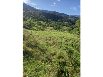 FINCA PRODUCTIVA EN VENTA TENERIFE EL CERRITO VALLE  254 Hectáreas