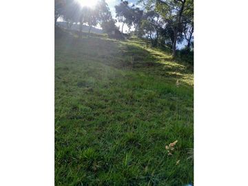 FINCA PRODUCTIVA EN VENTA TENERIFE EL CERRITO VALLE  254 Hectáreas