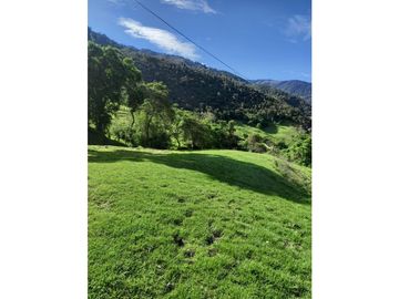 FINCA PRODUCTIVA EN VENTA TENERIFE EL CERRITO VALLE  254 Hectáreas