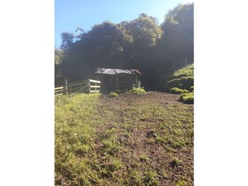 FINCA PRODUCTIVA EN VENTA TENERIFE EL CERRITO VALLE  254 Hectáreas