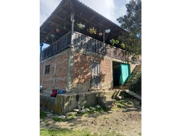 FINCA PRODUCTIVA EN VENTA TENERIFE EL CERRITO VALLE  254 Hectáreas