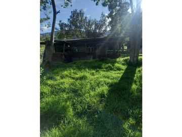 FINCA PRODUCTIVA EN VENTA TENERIFE EL CERRITO VALLE  254 Hectáreas
