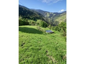 FINCA PRODUCTIVA EN VENTA TENERIFE EL CERRITO VALLE  254 Hectáreas