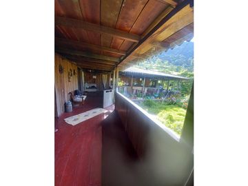 FINCA PRODUCTIVA EN VENTA TENERIFE EL CERRITO VALLE  254 Hectáreas