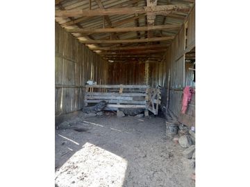 FINCA PRODUCTIVA EN VENTA TENERIFE EL CERRITO VALLE  254 Hectáreas