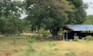 620045.0sqm Lot for Sale in Calatagan, Batangas - RS4902684