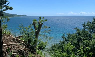 4000.0sqm Resort for Sale in Lobo, Batangas - CS0389078